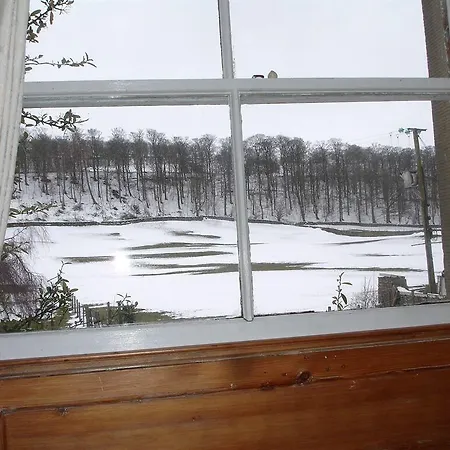 Temple Bed & Breakfast
