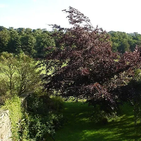 ベッド・アンド・ブレックファスト Temple