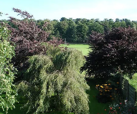 Temple 4* アイガース